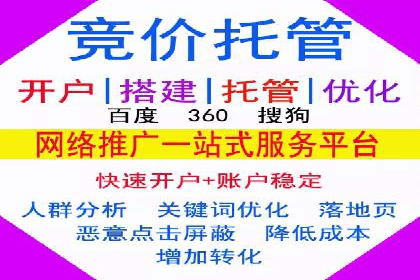 百度竞价广告的投放策略与成功案例分析